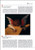 The Uffizi: The Official Guide All of the Works