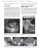 Ashcraft's Pediatric Surgery: Expert Consult - Online + Print, 6e (Expert Consult Title: Online + Print)