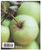 Yummy Supper: 100 Fresh, Luscious & Honest Recipes from a Gluten-Free Omnivore