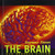 The Brain: Our Nervous System
