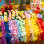 JOYIN 120 Counts Hawaiian Leis Bulk, Colorful Tropical Flower Leis for Kids Adults Hawaiian Beach Luau Party Favors Decorations