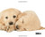 Puppyhood: Life-size Portraits of Puppies at 6 Weeks Old