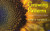 Growing Patterns: Fibonacci Numbers in Nature