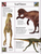 Big Book of Dinosaurs