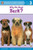 Why Do Dogs Bark? (Penguin Young Readers, Level 3)