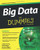Big Data For Dummies Big Data For Dummies
