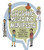 Graphic Medicine Manifesto