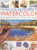 The Practical Encyclopedia of Watercolor