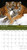 National Geographic Big Cats 2017 Wall Calendar