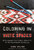 Coloring in the White Spaces: Reclaiming Cultural Identity in Whitestream Schools (Counterpoints)