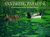 Vanishing Paradise: Duck Hunting in the Louisiana Marsh