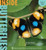 Inside Butterflies (Inside Series)