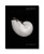 Anne Geddes Photofolio: Black & White