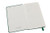 Moleskine Classic Notebook, Pocket, Plain, Oxide Green, Hard Cover (3.5 x 5.5) (Classic Notebooks)