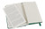 Moleskine Classic Notebook, Pocket, Plain, Oxide Green, Hard Cover (3.5 x 5.5) (Classic Notebooks)