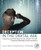 Deception in the Digital Age: Exploiting and Defending Human Targets through Computer-Mediated Communications