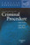 Principles of Criminal Procedure (Concise Hornbook)