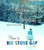 Home to Big Stone Gap: A Novel (Big Stone Gap Novels)