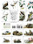 Audubon's Birds of America Coloring Book