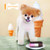 Boo ABC: A to Z with the World's Cutest Dog