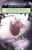 The Cheviot, the Stag and the Black, Black Oil (Modern Plays)