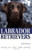 Labrador Retrievers