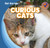 Curious Cats (Pet Corner)