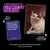 WHAT DO YOU MEME? After Hours by Relatable, The Explicit Expansion Pack for Game Night, Board Games, Adult Games, and Party Games, Includes 150 Caption Cards to Play with Full-Sized Game