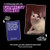 WHAT DO YOU MEME? After Hours by Relatable, The Explicit Expansion Pack for Game Night, Board Games, Adult Games, and Party Games, Includes 150 Caption Cards to Play with Full-Sized Game