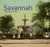 Savannah Then and Now