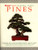 Bonsai Today Masters' Series: Pines, Growing & Styling Japanese Black & White Pines featuring Masahiko Kimura, Takashita Yosiaki & Many Others
