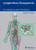 Lymphedema Management: The Comprehensive Guide for Practitioners