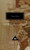 Things Fall Apart (Everyman's Library)