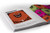 Criterion Designs