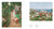 Painting the Modern Garden: Monet to Matisse