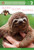 Slow, Slow Sloths (Penguin Young Readers, Level 2)