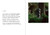 Jason Fulford: Contains 3 Books
