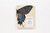 The Butterflies of North America: Titian Peale's Lost Manuscript