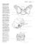Anatomy Coloring Book (Kaplan Anatomy Coloring Book)