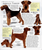 Encyclopedia of the Dog