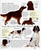Encyclopedia of the Dog