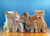 Walter Chandoha: The Cat Photographer