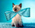 Walter Chandoha: The Cat Photographer
