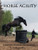 Horse Agility: Liberty Horse Training