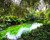 Paradise Found: Gardens of Enchantment