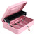 xydled Cash Box with Money Tray and Key Lock,Tiered, Cantilever Design,4 Bill / 5 Coin Slots,11.8" x 9.5" x 3.5",Pink