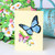 Airpark Pop Up Flower Cards, 2 Packs, Daisies and Butterflies,12inch Flower Bouquet 3D Popup Greeting Cards with Blank Note Card and Envelope for Birthday, Easter, Mothers day for Women Kids