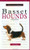 A New Owner's Guide to Basset Hounds