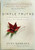 Simple Truths : Clear and Gentle Guidance on the Big Issues in Life