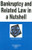 Bankruptcy and Related Law in a Nutshell (In a Nutshell (West Publishing)) (Nutshell Series)